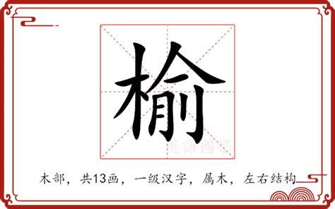 榆意思|榆的意思，榆字的意思